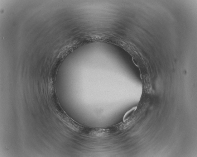 X0000072940563200608111603