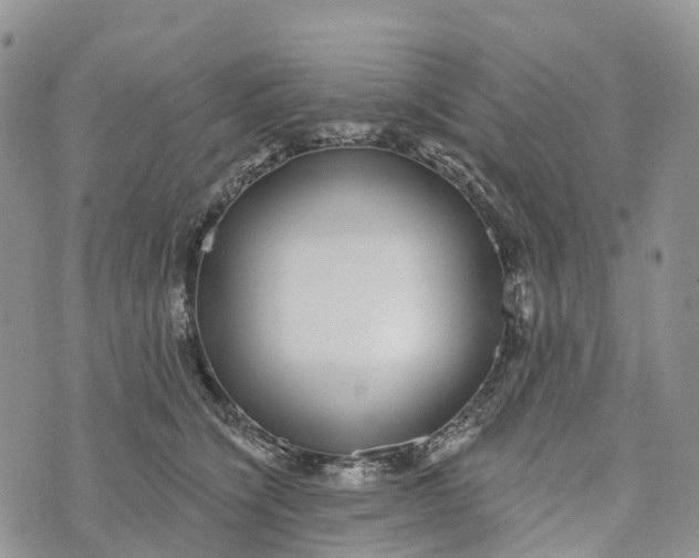 X0000072940564200608111603