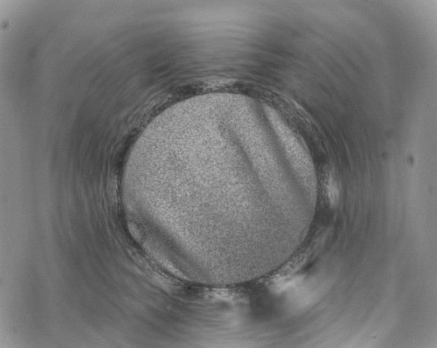 X0000072940565200608111603