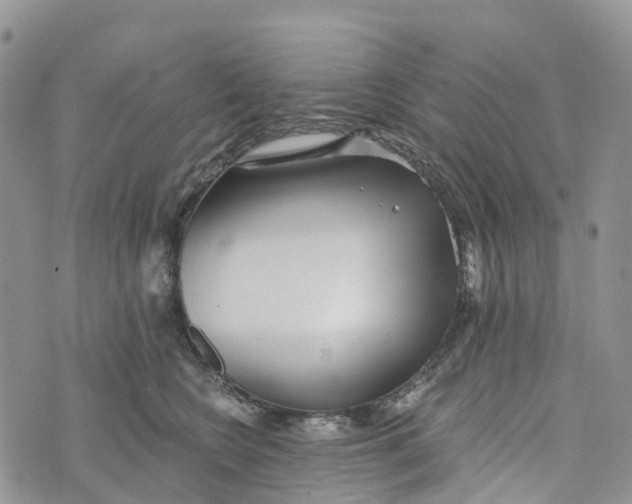 X0000072940566200608111603