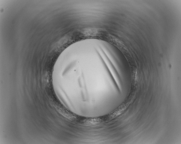 X0000072940567200608111603