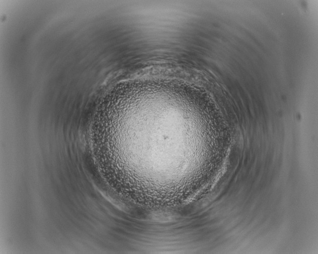 X0000072940568200608111603