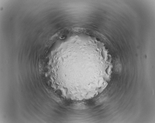 X0000072940569200608111603