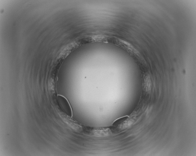 X0000072940571200608111603