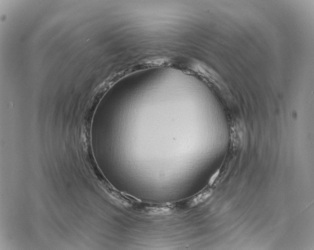 X0000072940572200608111603