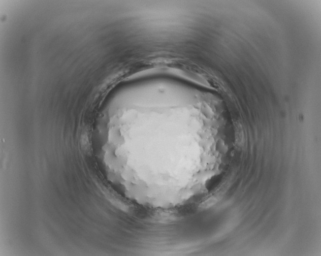 X0000072940573200608111603