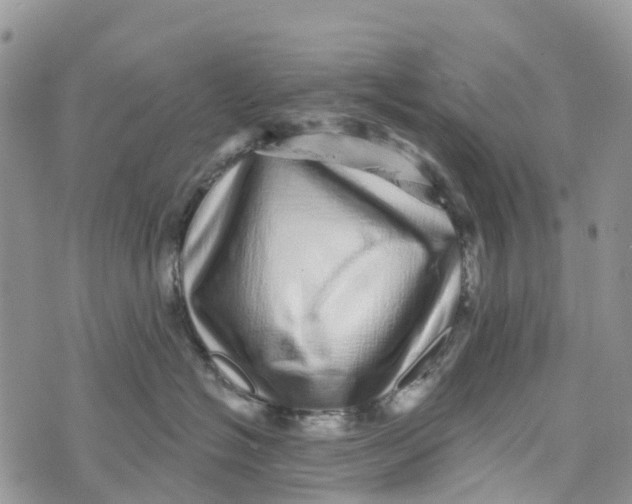 X0000072940574200608111603