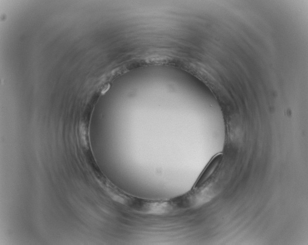 X0000072940575200608111603