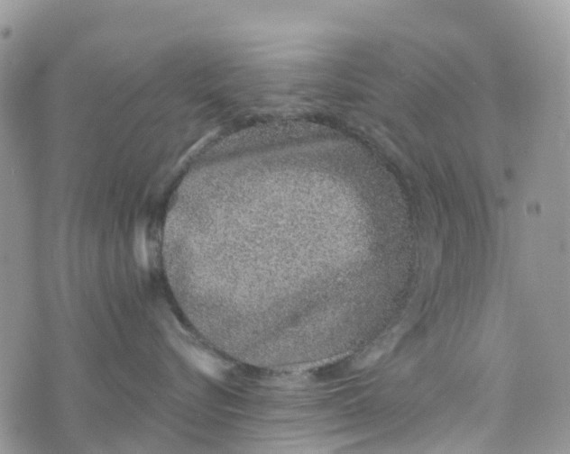 X0000072940576200608111603