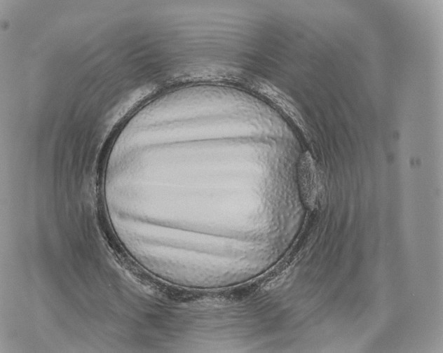 X0000072940578200608111603