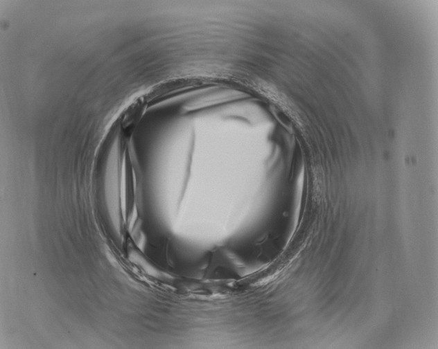 X0000072940580200608111602