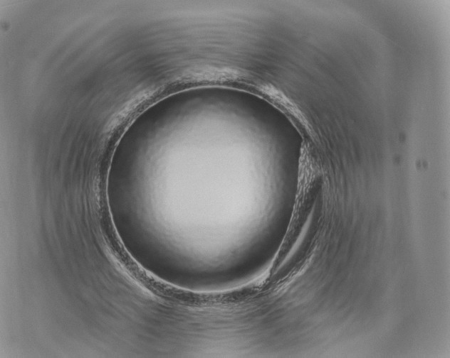 X0000072940581200608111602