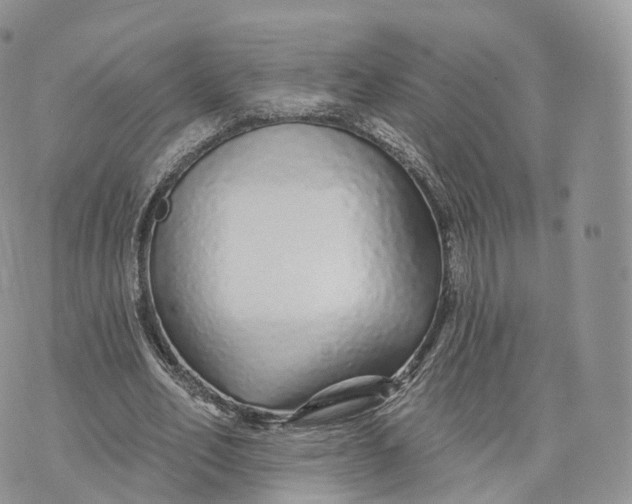 X0000072940582200608111602