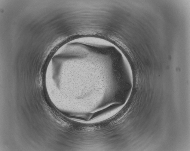 X0000072940584200608111602