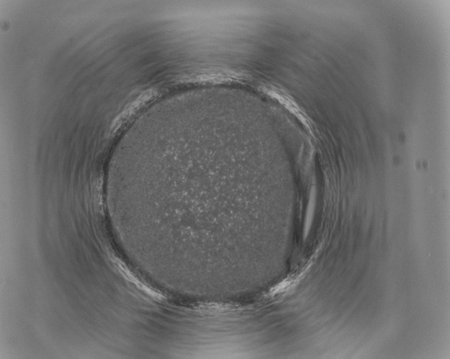 X0000072940585200608111602