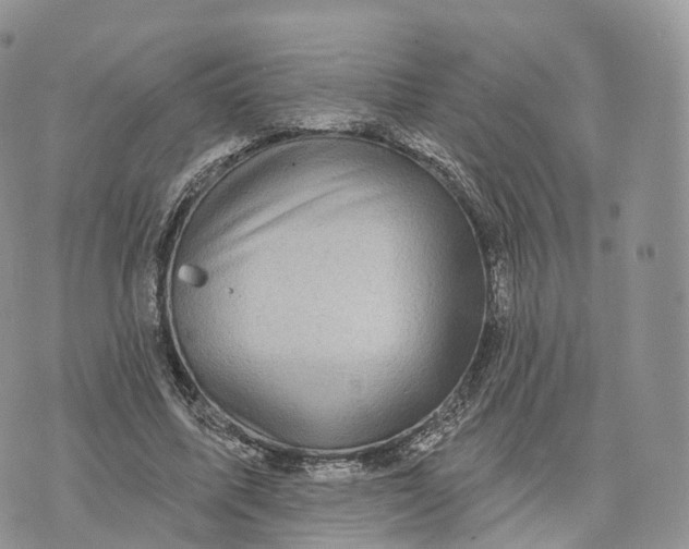 X0000072940587200608111602