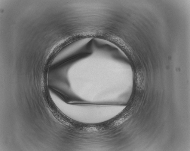 X0000072940588200608111602