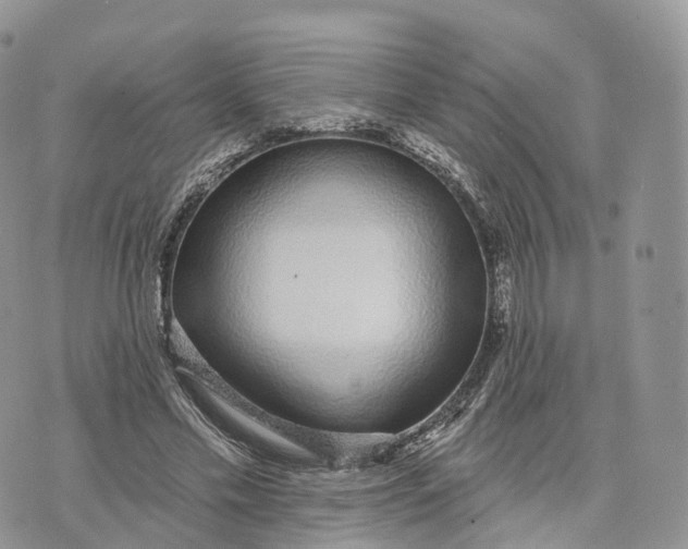 X0000072940589200608111602