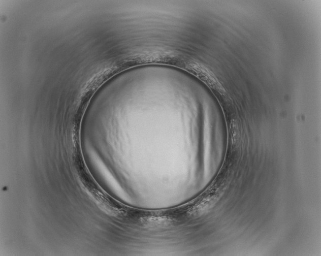 X0000072940590200608111602