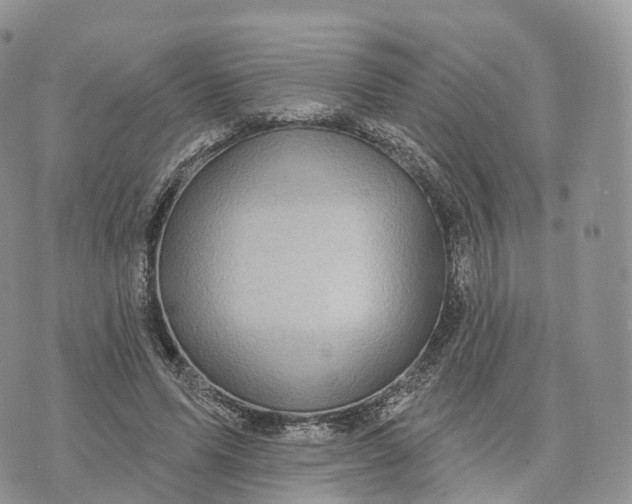 X0000072940591200608111602