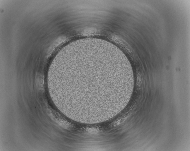 X0000072940592200608111602