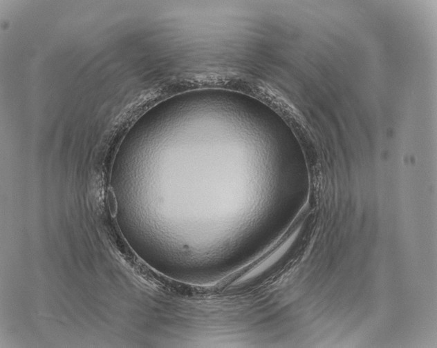 X0000072940593200608111602