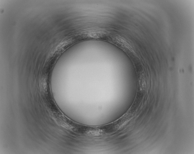 X0000072940595200608111602