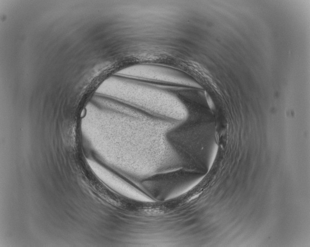 X0000072940596200608111602