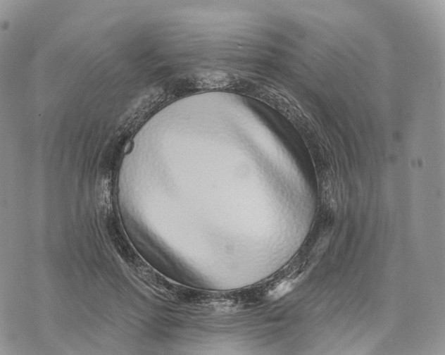 X0000072940598200608111602