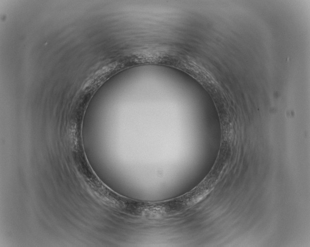 X0000072940599200608111602