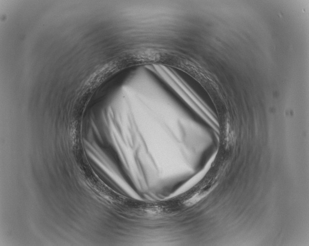 X0000072940600200608111602