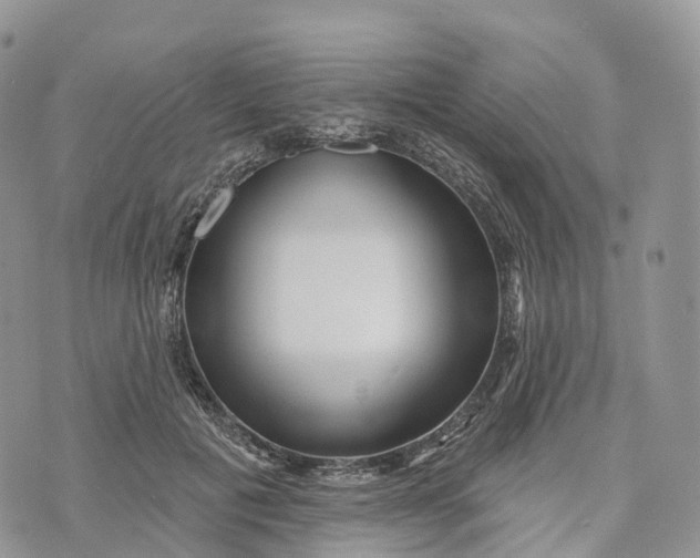 X0000072940601200608111602