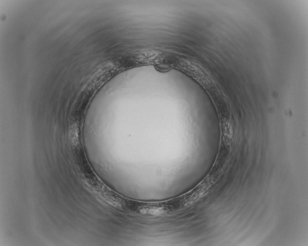 X0000072940602200608111602