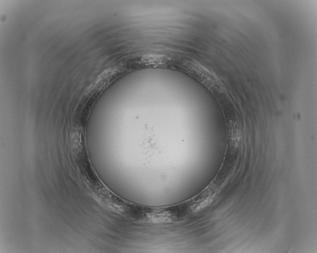 X0000072940603200608111602