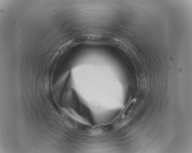 X0000072940604200608111602