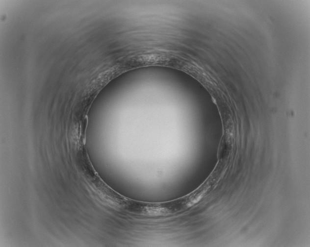 X0000072940605200608111602