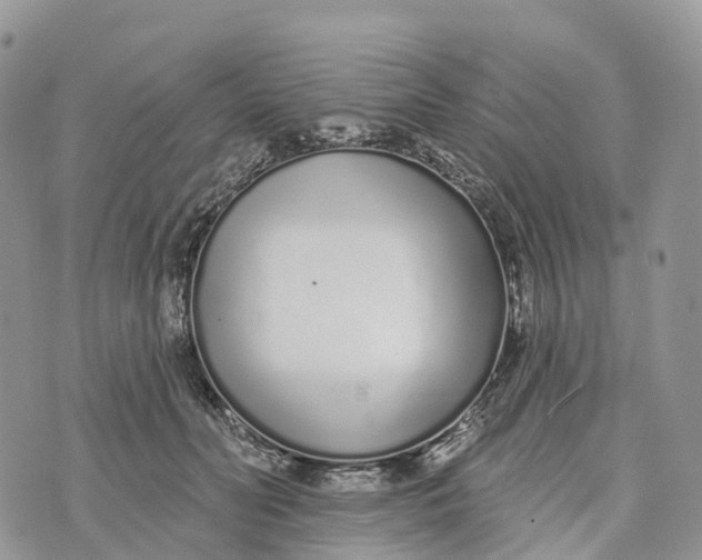 X0000072940606200608111602