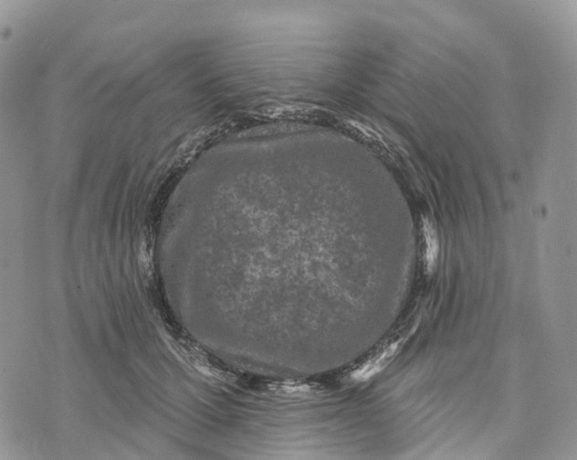 X0000072940607200608111602