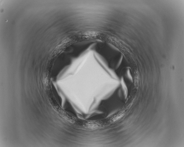 X0000072940608200608111602