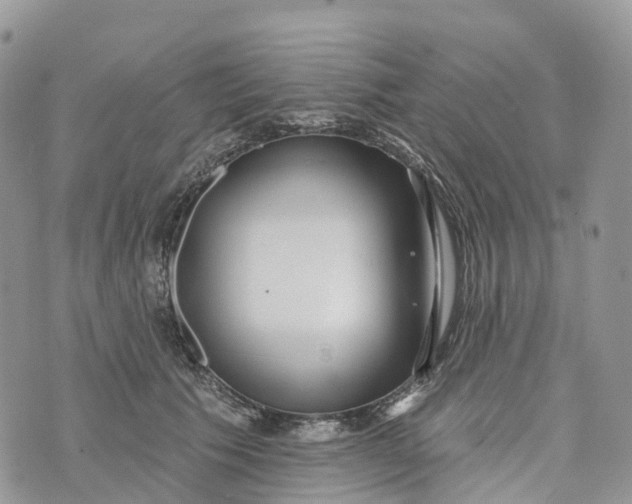 X0000072940609200608111602