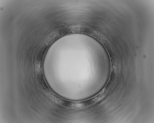 X0000072940610200608111602