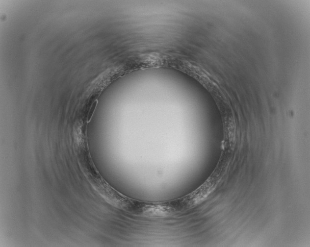 X0000072940611200608111602