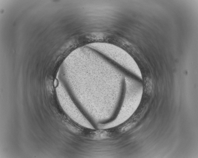 X0000072940612200608111602