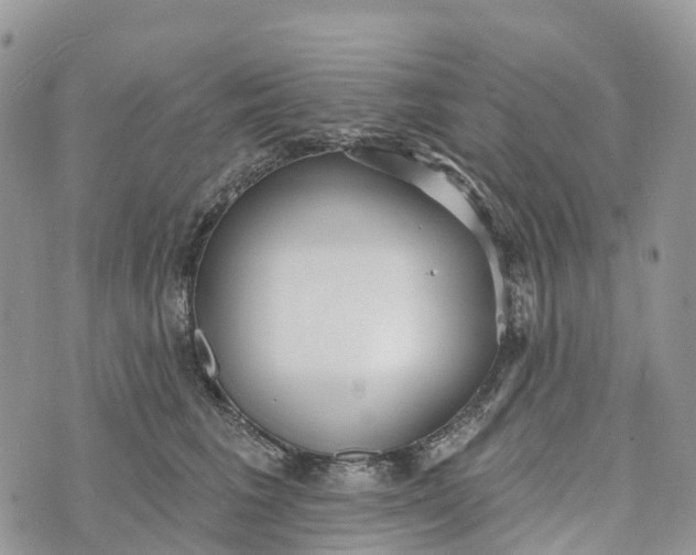 X0000072940613200608111602