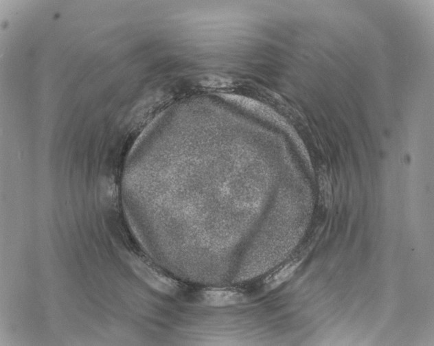 X0000072940614200608111602