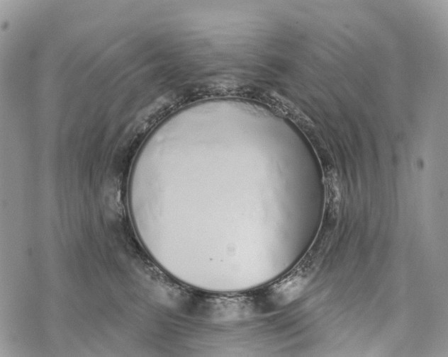 X0000072940615200608111602