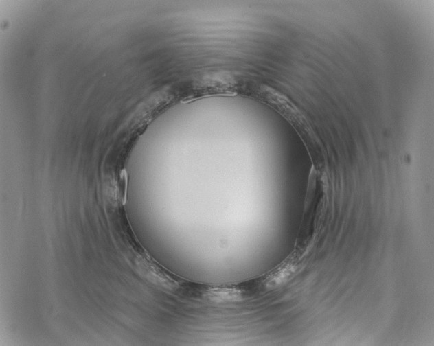 X0000072940617200608111602