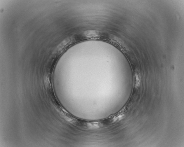 X0000072940618200608111602