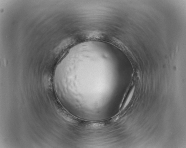 X0000072940619200608111602