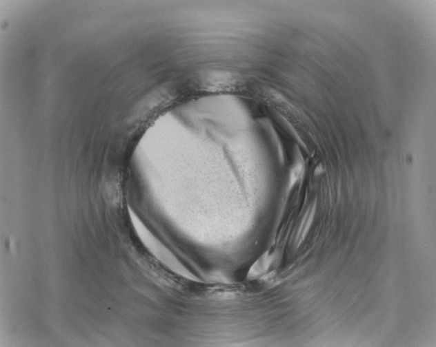 X0000072940620200608111602